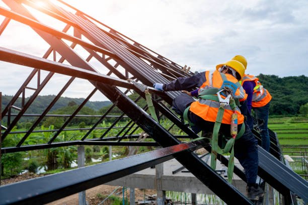 Best Storm Damage Roof Repair  in Cutlerville, MI